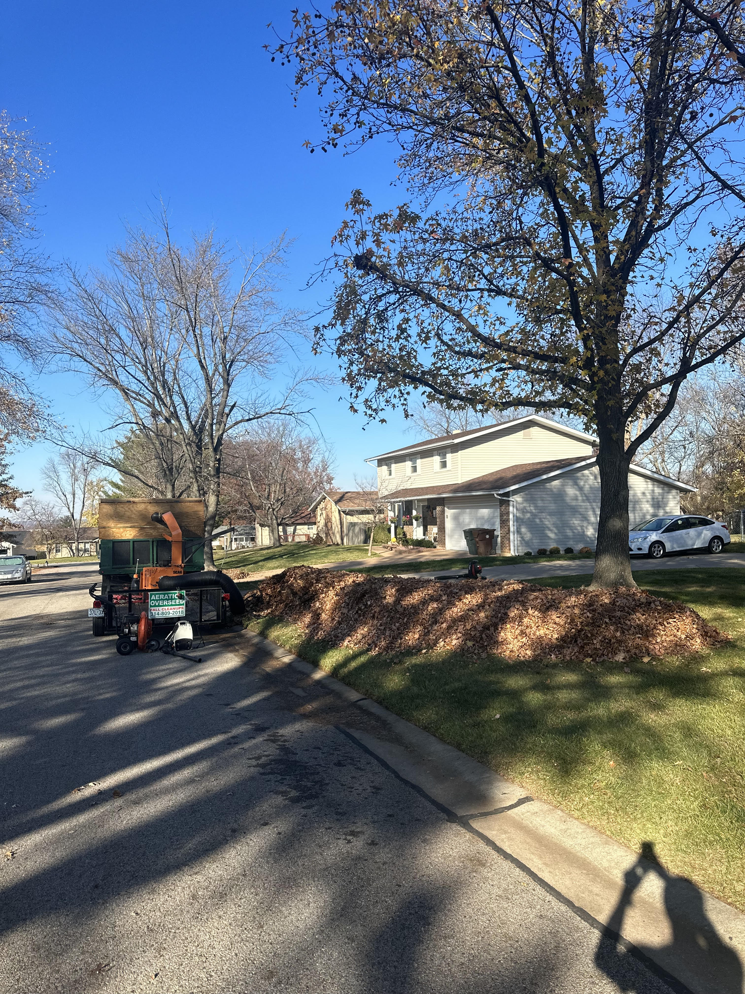 Detailed and Affordable Leaf Removal Service in St. Peter's, Missouri